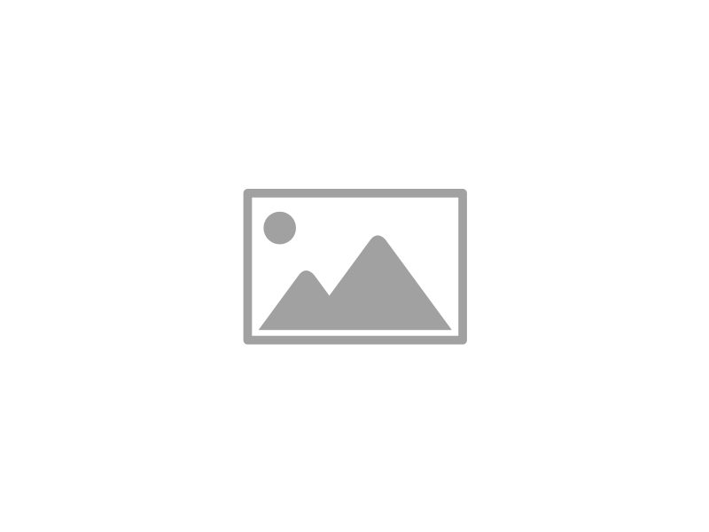 SMEDA final