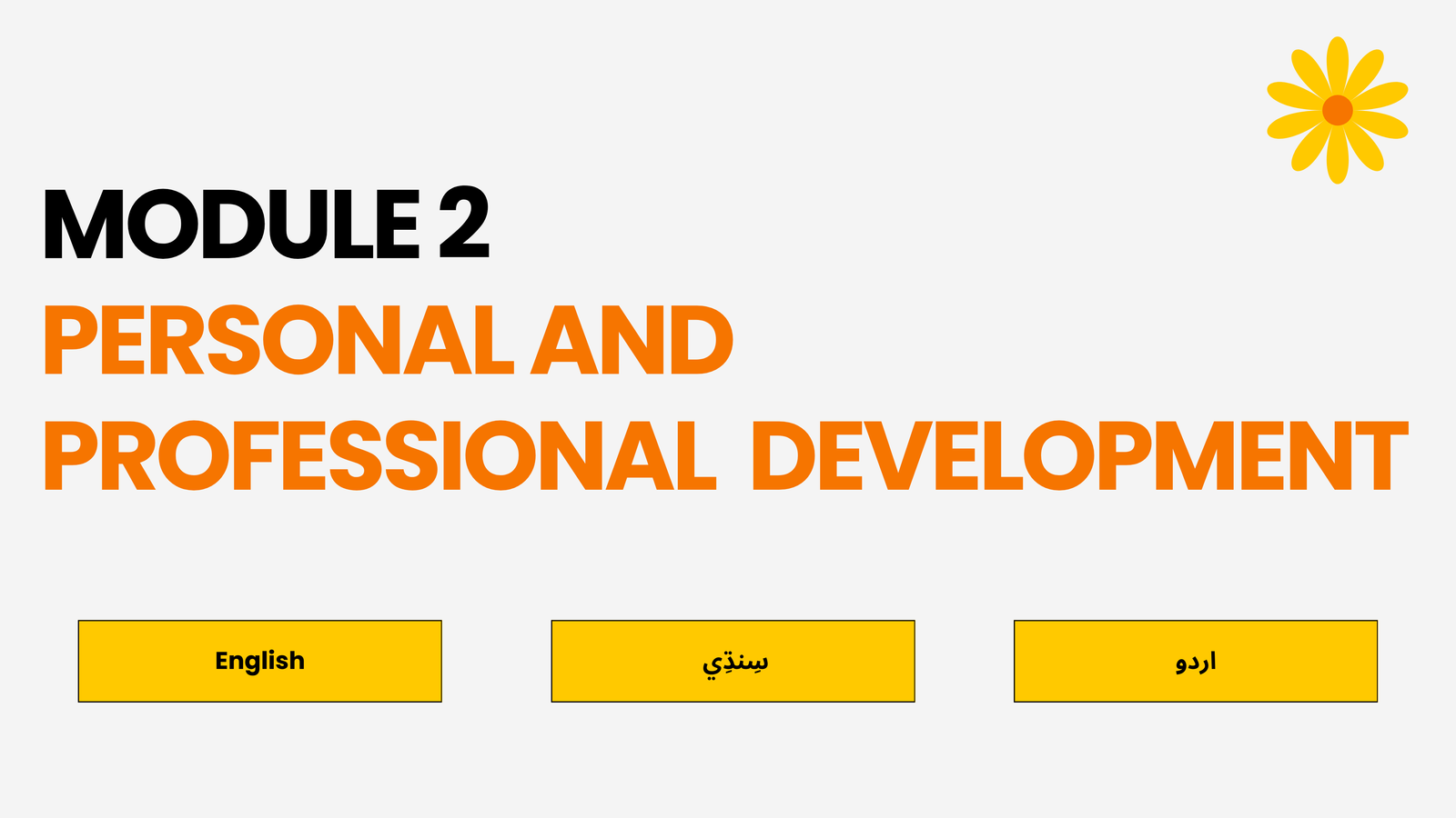 Module 2: Personal and Professional Development