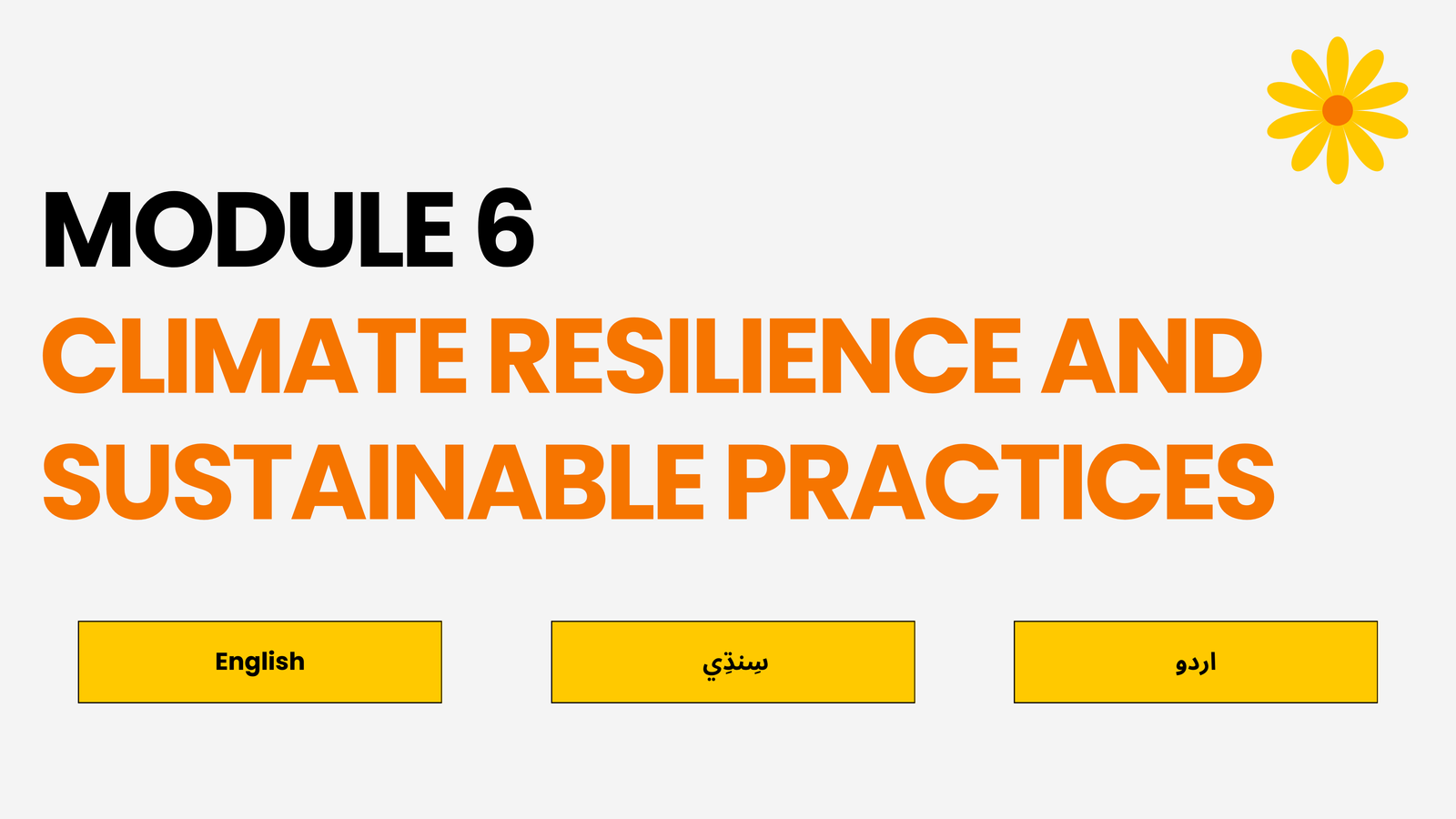 Module 6: Climate Resilience and Sustainable Practices